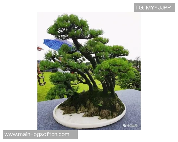 pg麻将胡了作品原声-PG麻将胡了，原声演绎传统艺术的魅力篇章-pg麻将胡了作品原声